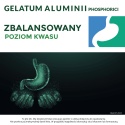 Gelatum Aluminii Phosphorici Aluminii phosphas 45 mg/g Zawiesina doustna 250 g