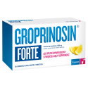 Groprinosin Forte saszetki, 1000 mg, 30 sztuk