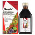 Floradix Żelazo i Witaminy, płyn, 500 ml