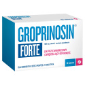 Groprinosin Forte, 1000 mg, 30 tabletek