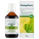 PlantagoPharm, syrop, 200 ml